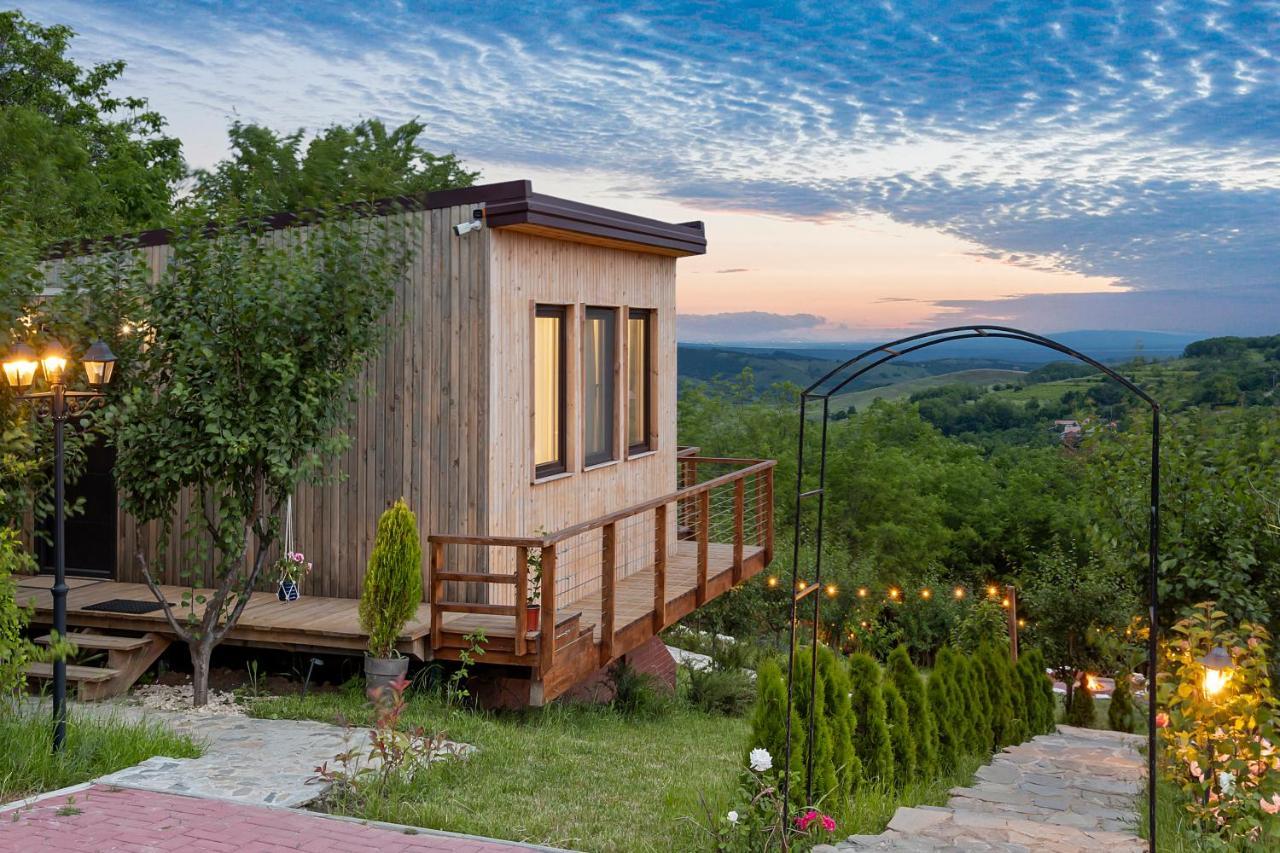 Arta Chalet Ceptura de Jos Exterior photo