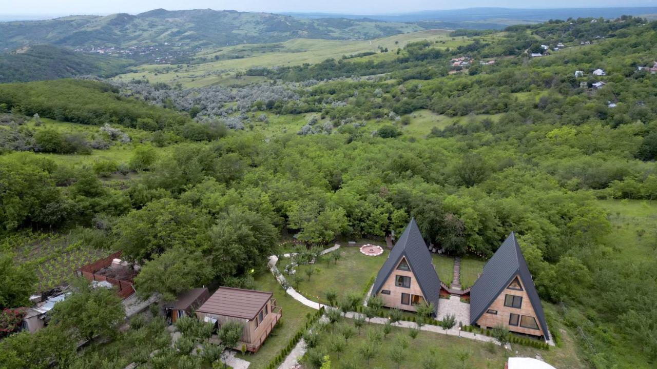 Arta Chalet Ceptura de Jos Exterior photo